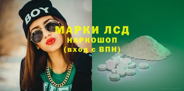 ГАЛЛЮЦИНОГЕННЫЕ ГРИБЫ Алексин