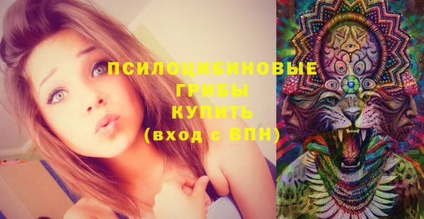 ешки Алексеевка